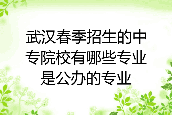 武汉春季招生的中专院校有哪些专业是公办的专业