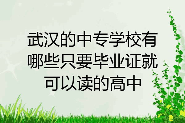 武汉的中专学校有哪些只要毕业证就可以读的高中