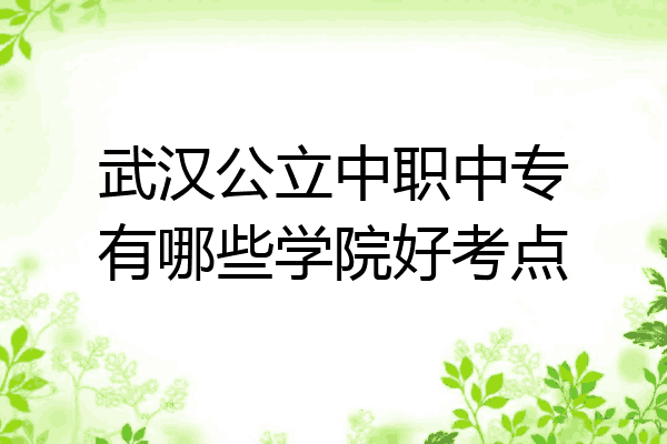 武汉公立中职中专有哪些学院好考点