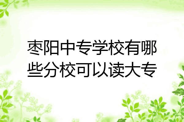 枣阳中专学校有哪些分校可以读大专