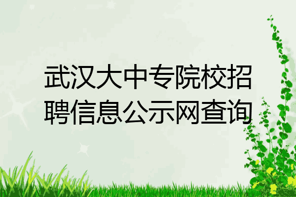 武汉大中专院校招聘信息公示网查询