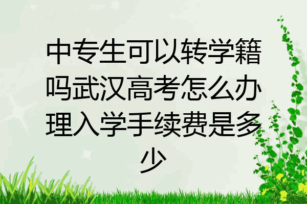 中专生可以转学籍吗武汉高考怎么办理入学手续费是多少