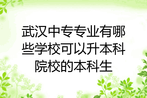 武汉中专专业有哪些学校可以升本科院校的本科生