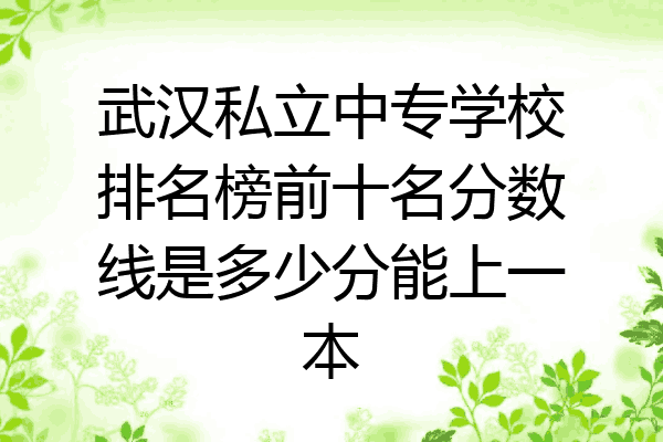 武汉私立中专学校排名榜前十名分数线是多少分能上一本
