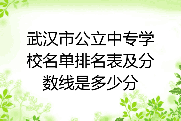 武汉市公立中专学校名单排名表及分数线是多少分
