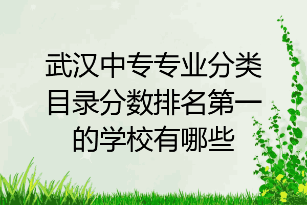 武汉中专专业分类目录分数排名第一的学校有哪些