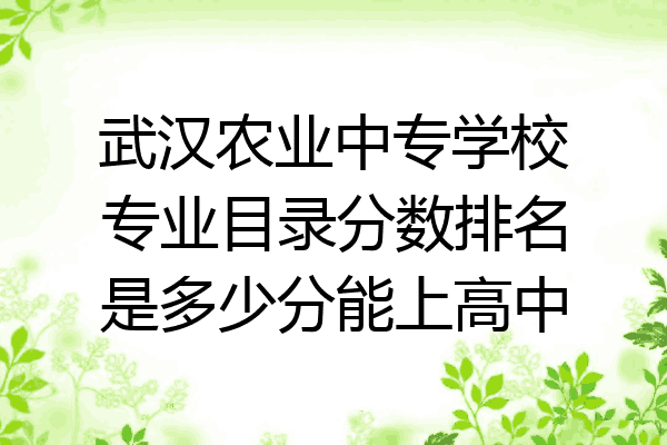 武汉农业中专学校专业目录分数排名是多少分能上高中