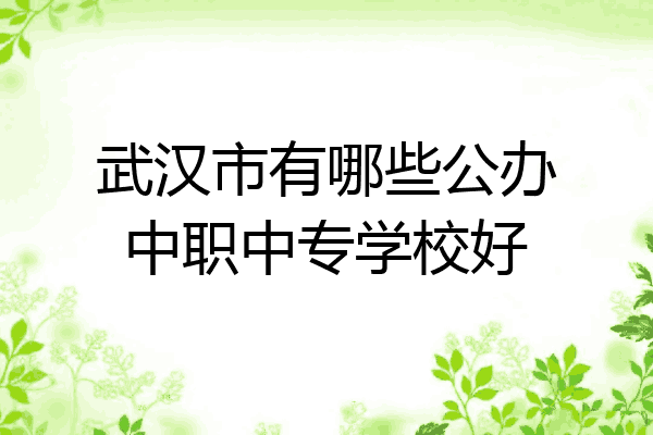 武汉市有哪些公办中职中专学校好
