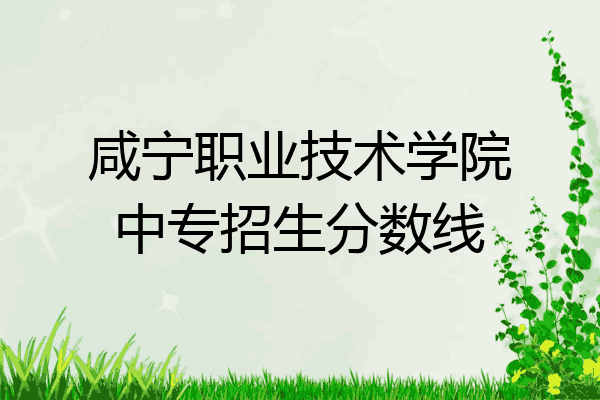 咸宁职业技术学院中专招生分数线