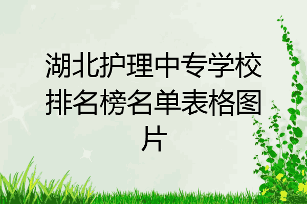 湖北护理中专学校排名榜名单表格图片