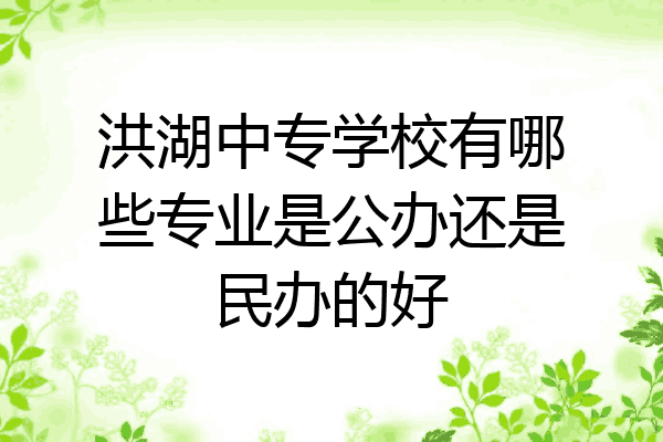 洪湖中专学校有哪些专业是公办还是民办的好