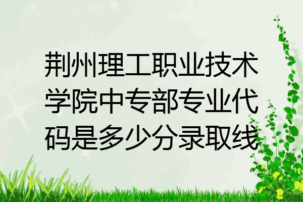 荆州理工职业技术学院中专部专业代码是多少分录取线
