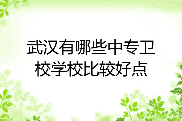 武汉有哪些中专卫校学校比较好点