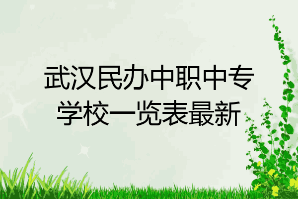 武汉民办中职中专学校一览表最新