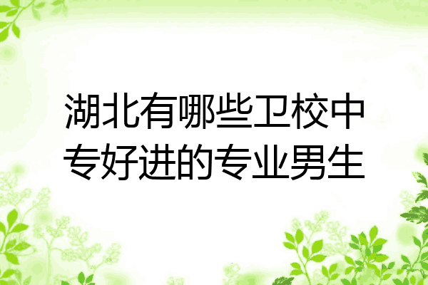 湖北有哪些卫校中专好进的专业男生