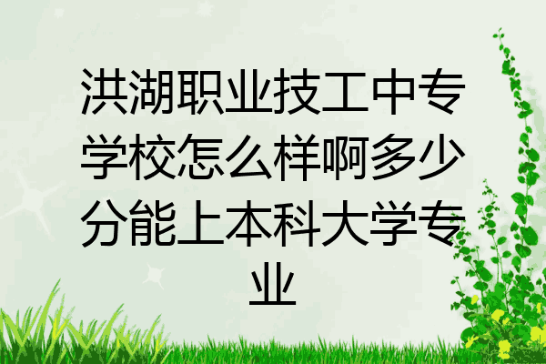 洪湖职业技工中专学校怎么样啊多少分能上本科大学专业