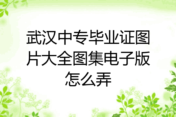 武汉中专毕业证图片大全图集电子版怎么弄