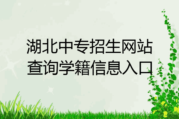 湖北中专招生网站查询学籍信息入口