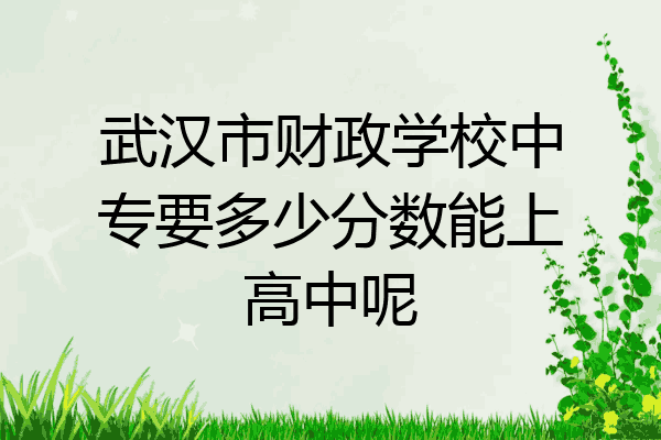 武汉市财政学校中专要多少分数能上高中呢