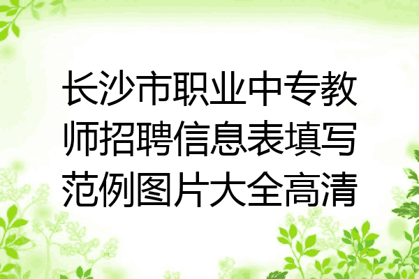 长沙市职业中专教师招聘信息表填写范例图片大全高清