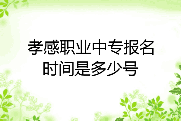 孝感职业中专报名时间是多少号