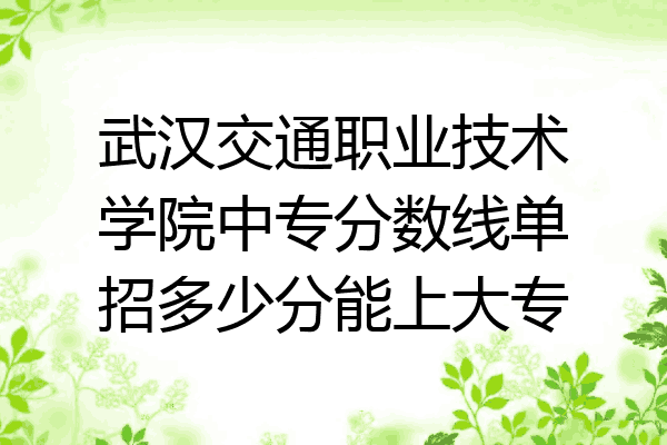 武汉交通职业技术学院中专分数线单招多少分能上大专