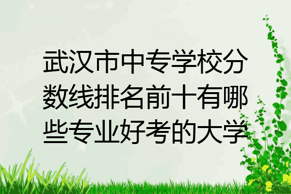 武汉市中专学校分数线排名前十有哪些专业好考的大学