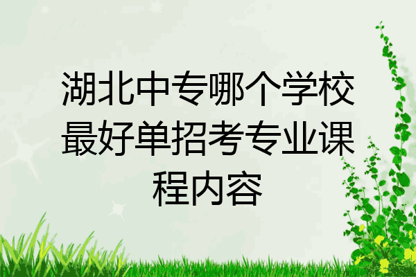 湖北中专哪个学校最好单招考专业课程内容