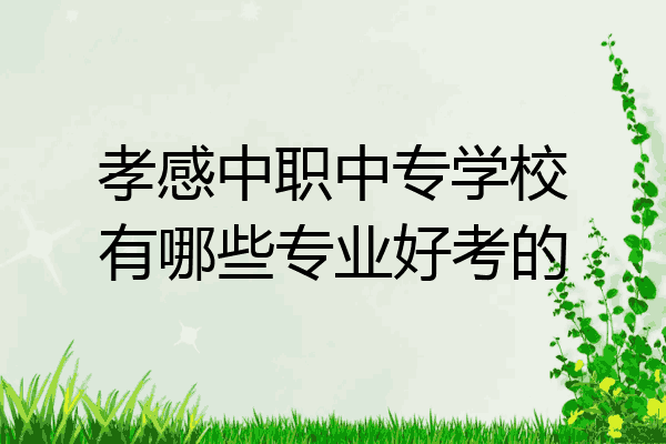 孝感中职中专学校有哪些专业好考的