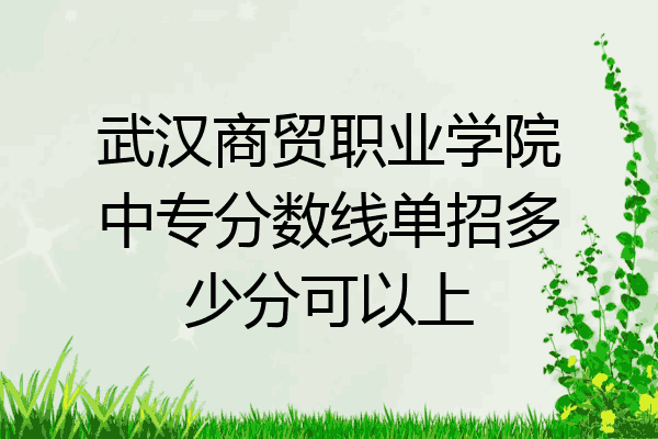 武汉商贸职业学院中专分数线单招多少分可以上