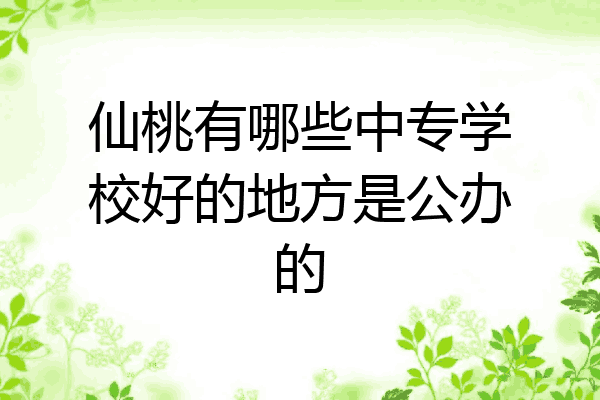 仙桃有哪些中专学校好的地方是公办的