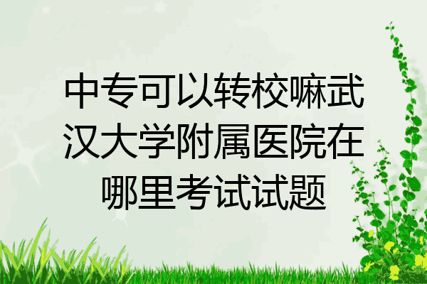 中专可以转校嘛武汉大学附属医院在哪里考试试题