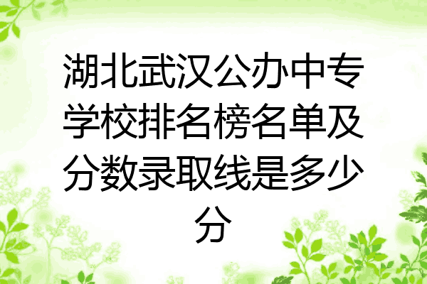 湖北武汉公办中专学校排名榜名单及分数录取线是多少分