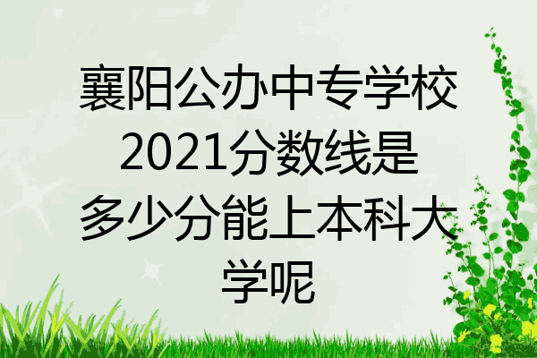 襄阳公办中专学校2021分数线是多少分能上本科大学呢