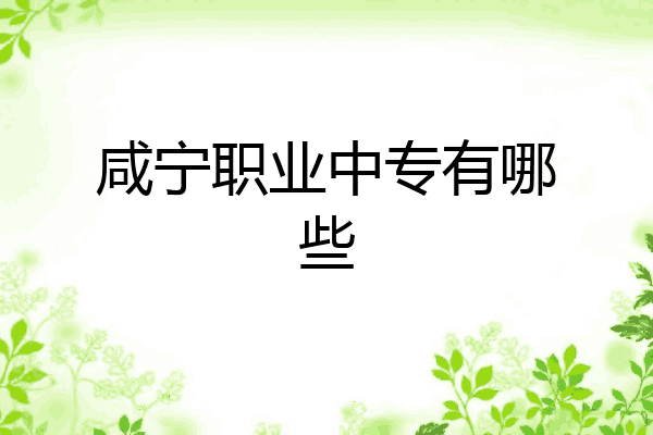 咸宁职业中专有哪些