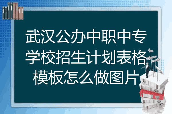 武汉公办中职中专学校招生计划表格模板怎么做图片