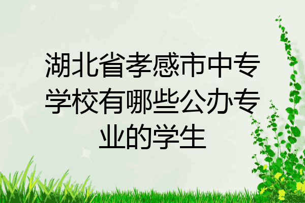 湖北省孝感市中专学校有哪些公办专业的学生