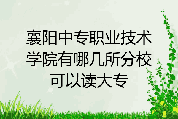 襄阳中专职业技术学院有哪几所分校可以读大专