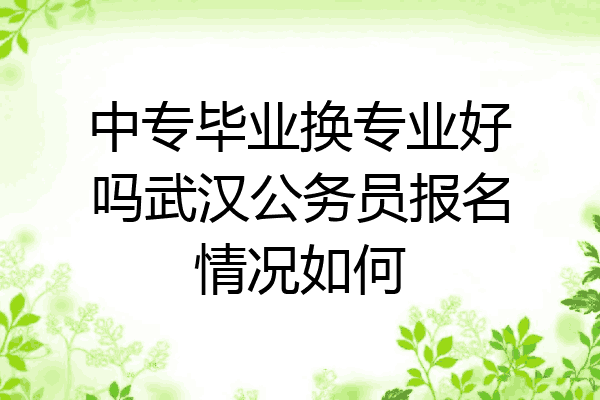 中专毕业换专业好吗武汉公务员报名情况如何