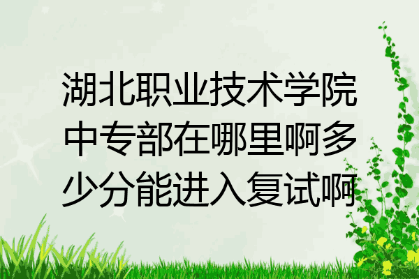 湖北职业技术学院中专部在哪里啊多少分能进入复试啊