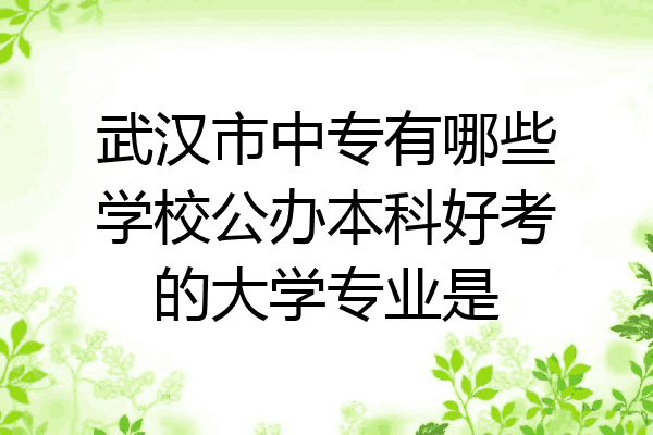 武汉市中专有哪些学校公办本科好考的大学专业是