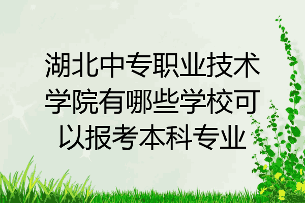 湖北中专职业技术学院有哪些学校可以报考本科专业