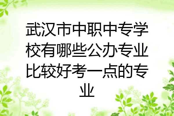 武汉市中职中专学校有哪些公办专业比较好考一点的专业