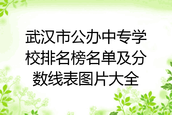 武汉市公办中专学校排名榜名单及分数线表图片大全