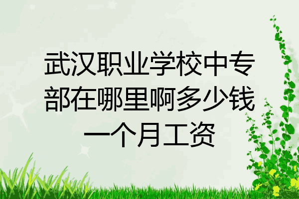 武汉职业学校中专部在哪里啊多少钱一个月工资