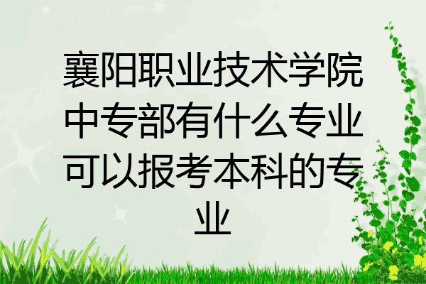 襄阳职业技术学院中专部有什么专业可以报考本科的专业