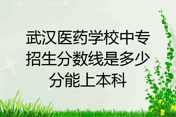 武汉医药学校中专招生分数线是多少分能上本科