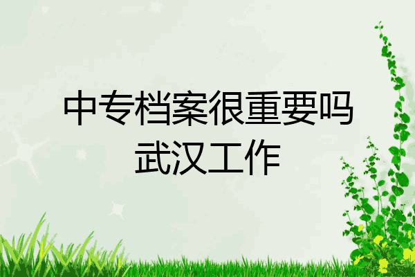 中专档案很重要吗武汉工作