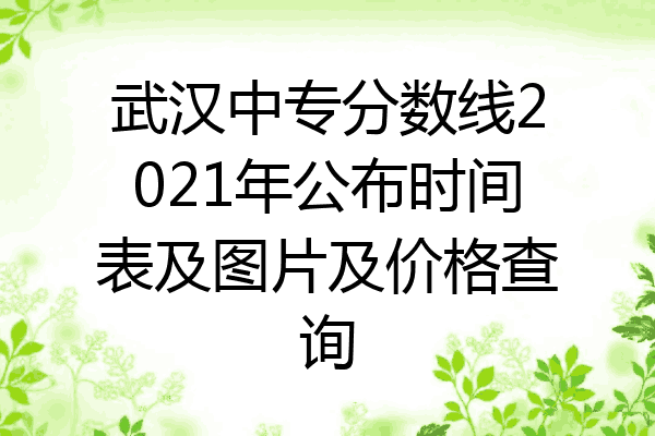 武汉中专分数线2021年公布时间表及图片及价格查询