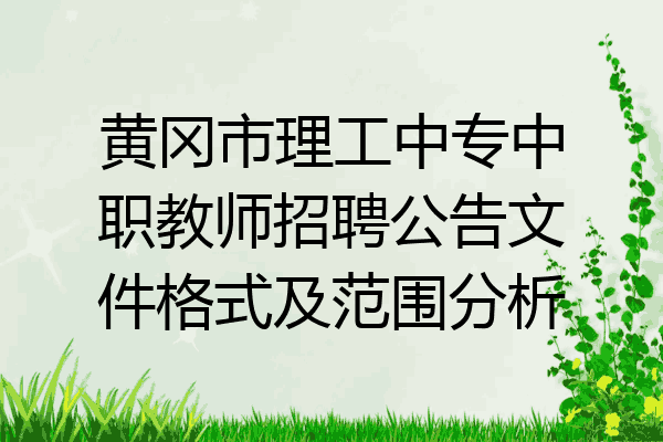 黄冈市理工中专中职教师招聘公告文件格式及范围分析